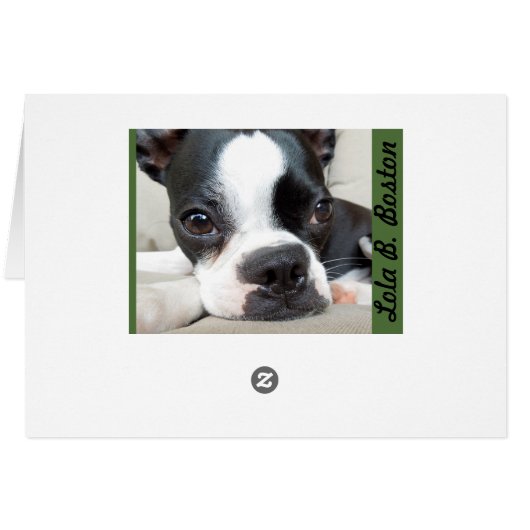 The most powerful antidepressant... BLANK CARD (Back Horizontal)