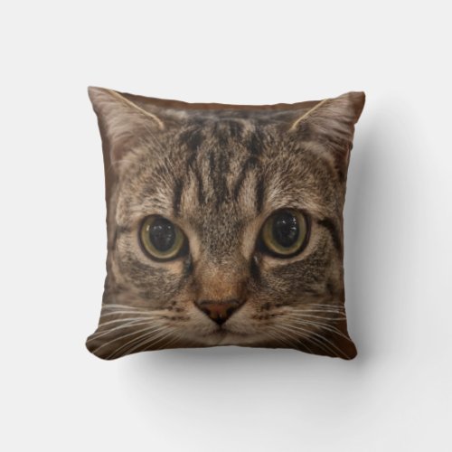 The most wonderful cat with amazing Throw Pillow