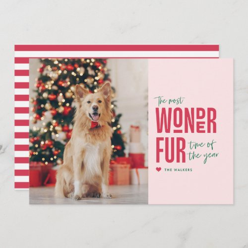 The Most Wonderfur Time Pet Holiday Photo Card