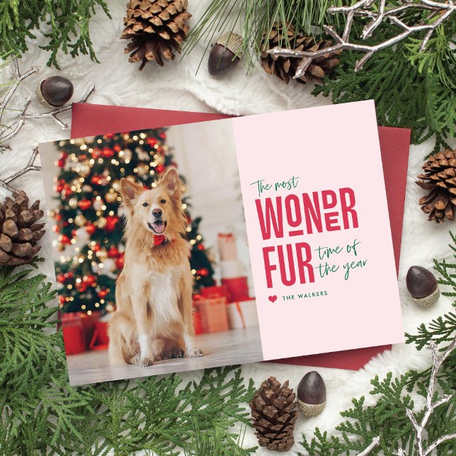 The Most Wonderfur Time Pet Holiday Photo Card (funny and sweet pet holiday card)