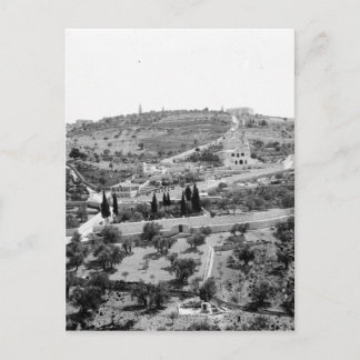 The Mount of Olives in Jerusalem Postcard