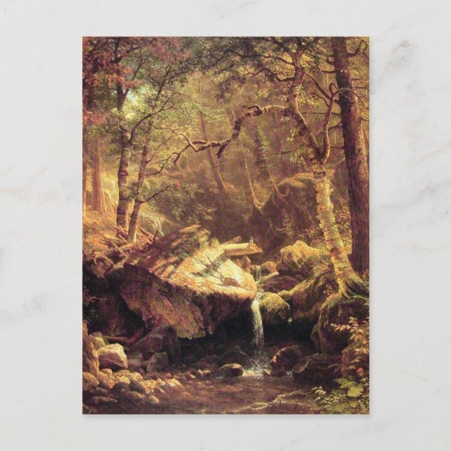 The Mountain Brook Postcard (Front)