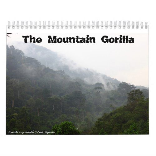 The Mountain Gorilla Calendar