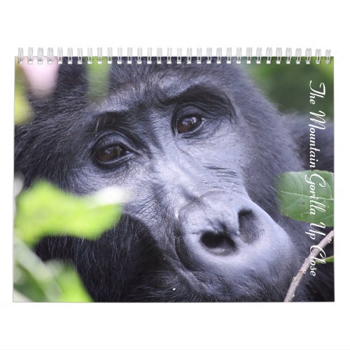 The Mountain Gorilla Up Close No US Holidays Calendar