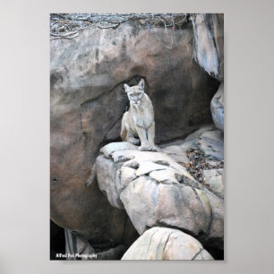 The Mountain King’s Perch Poster
