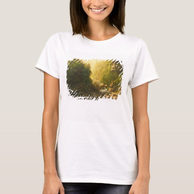 The Mountain Torrent, c.1820-30 (oil on canvas) T-Shirt (Front)