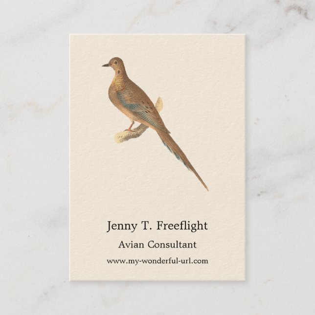 The Mourning Dove (Carolina Turtle Dove) NY Birds Business Card (Front)