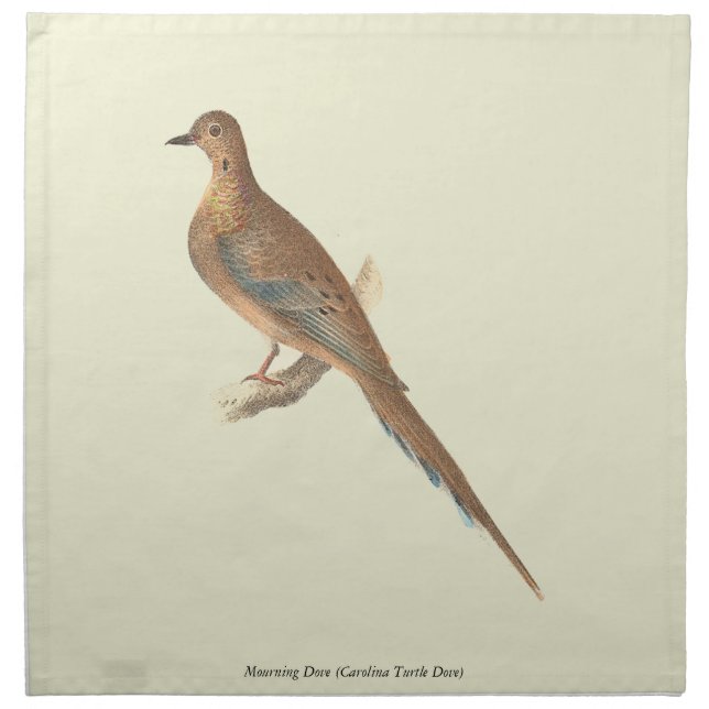The Mourning Dove (Carolina Turtle Dove) NY Birds Cloth Napkin (Front)