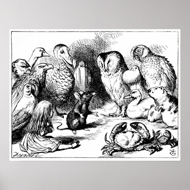 The Mouse and The Dry Story Poster (Front)