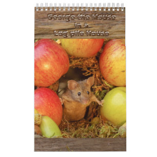 The Mouse in the log pile House Calendar
