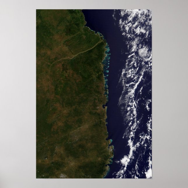 The Mozambique coast Poster (Front)