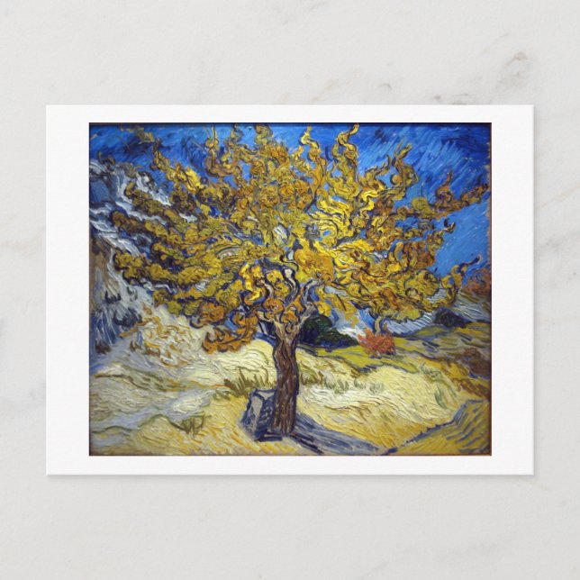 The Mulberry Tree, Vincent van Gogh. Vintage Postcard (Front)