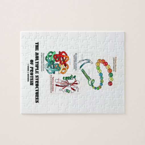 The Multiple Structures Of Protein (Biology) Jigsaw Puzzle Zazzle