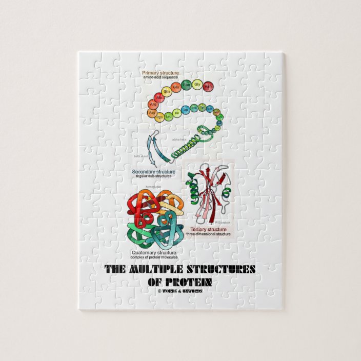 The Multiple Structures Of Protein (Biology) Jigsaw Puzzle Zazzle