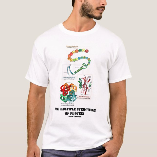 The Multiple Structures Of Protein T-Shirt (Front)