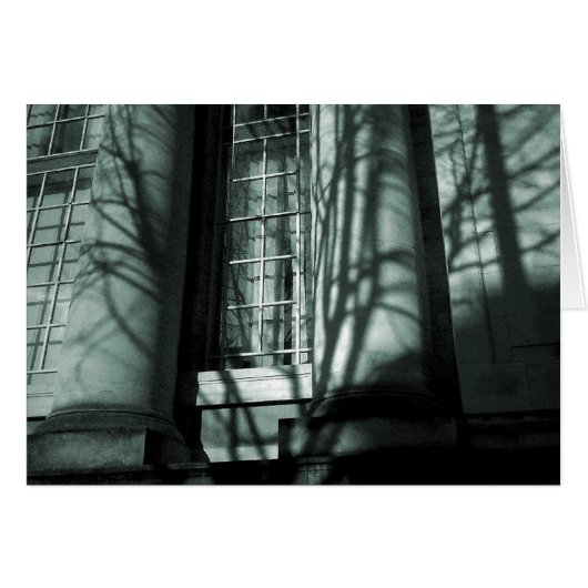 The Museum (Front Horizontal)