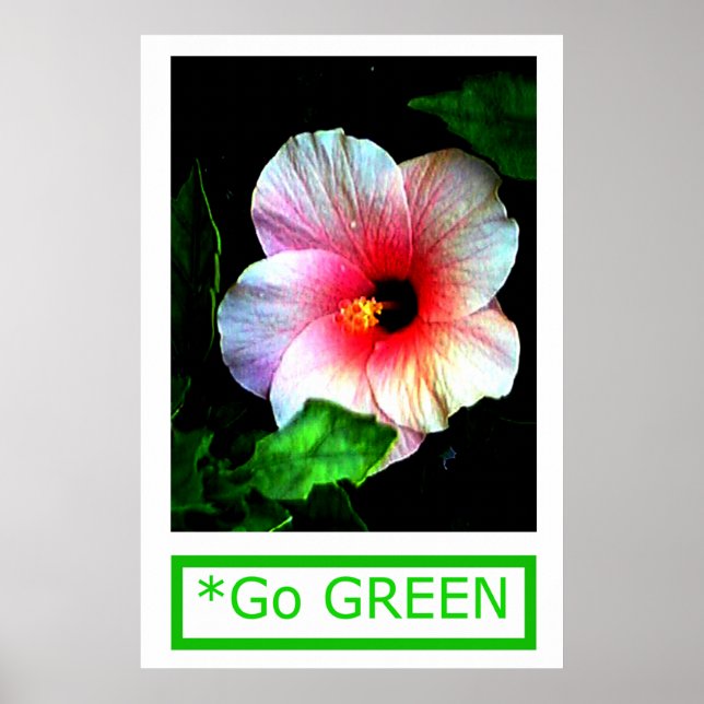 The MUSEUM Artist Series by jGibney  Go Hibiscus Poster (Front)