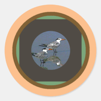 The MUSEUM Artist Series jGibney Birds2CocoaBeach1 Classic Round Sticker