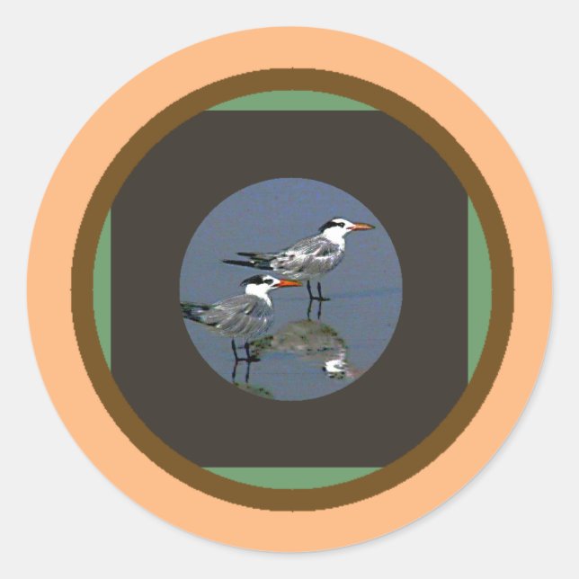 The MUSEUM Artist Series jGibney Birds2CocoaBeach1 Classic Round Sticker (Front)