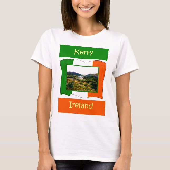 The MUSEUM Artist Series jGibney Ireland FlagKerry T-Shirt (Front)