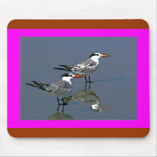 The MUSEUM Artist Series jGibneyBirds2Cocoa Beach1 Mouse Pad