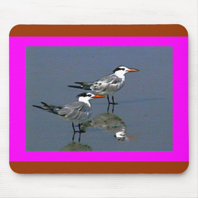 The MUSEUM Artist Series jGibneyBirds2Cocoa Beach1 Mouse Pad (Front)
