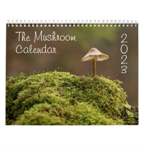 The Mushroom Calendar for 2023 Beautiful Photos