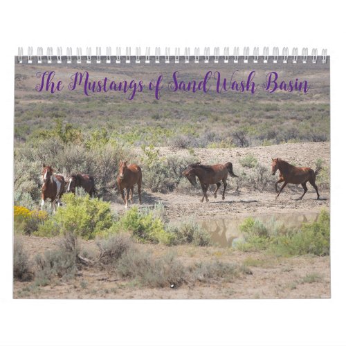 The Mustangs of Sand Wash Basin Calendar