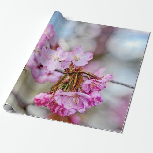 The Muted Beauty Of Sakura Blossoms Wrapping Paper