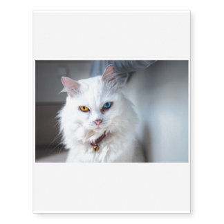 The Mysterious Cat Temporary Tattoos