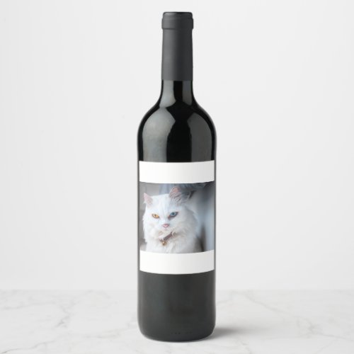 The Mysterious Cat Wine Label