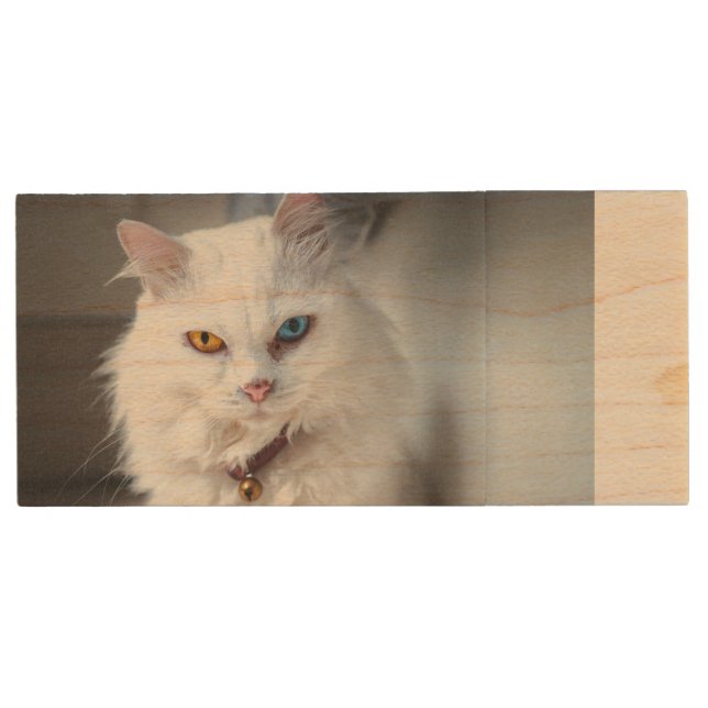The Mysterious Cat Wood Flash Drive (Front)