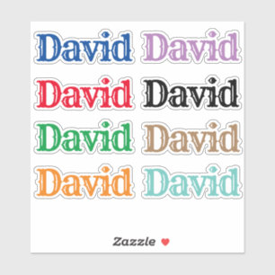 The Name David Sticker