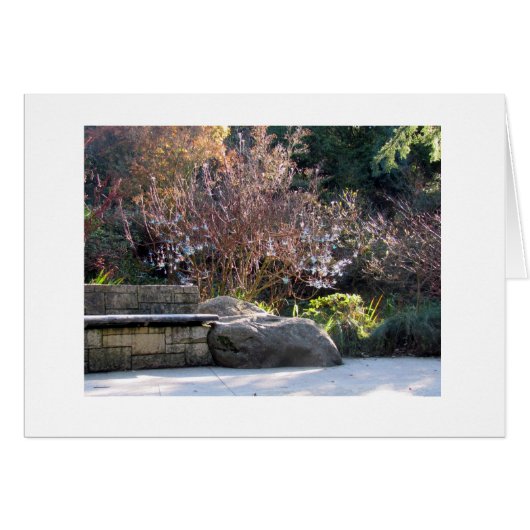 The National AIDS Memorial Grove Golden Gate Park (Front Horizontal)