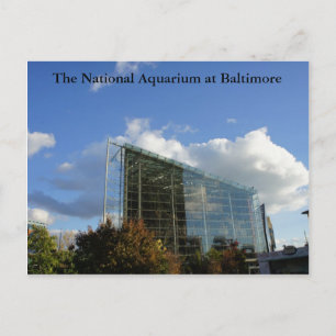 The National Aquarium of Baltimore Postcard