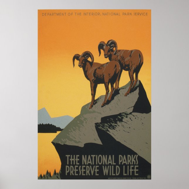 The National Parks Preserve Wild Life Poster (Front)