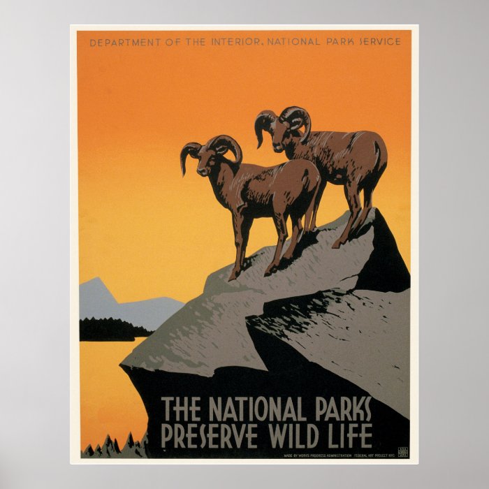 The National Parks Preserve Wildlife Posters