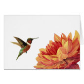 The Naturalist (Front Horizontal)