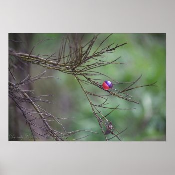 The Nature Of Paintball Poster by DeadlyCouturePhoto at Zazzle