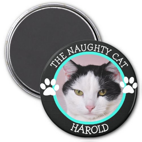 THE NAUGHTY CAT Humorous  Pawprints Photo Button Magnet