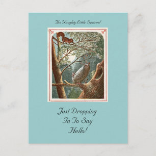 The Naughty Little Squirrel Postcard