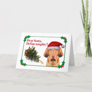 The Naughty Vizsla Holiday Card
