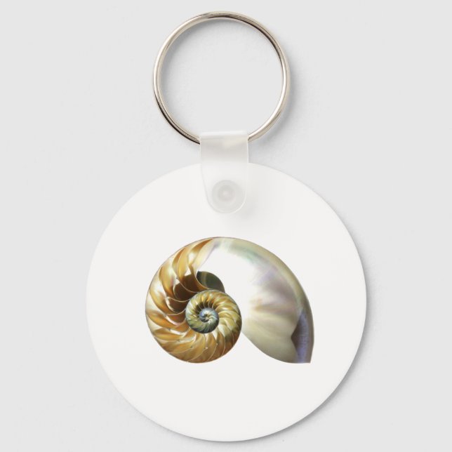 The Nautilus Shell Keychain (Front)