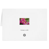 The Nereids Cards (Back Horizontal)
