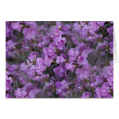 The Never-Ending Azaleas (Front Horizontal)