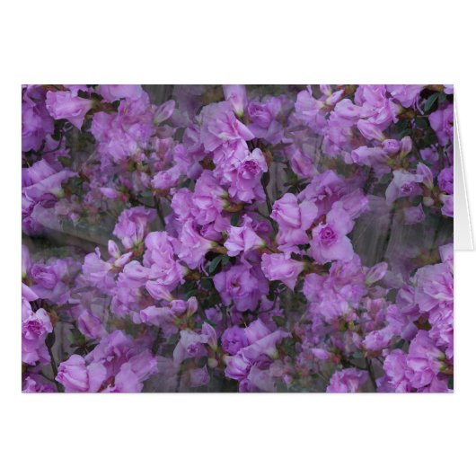 The Never-Ending Azaleas Cards (Front Horizontal)