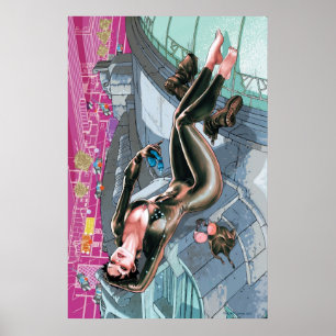 The New 52 - Catwoman #1 Poster