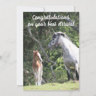 The New Arrival Announcement