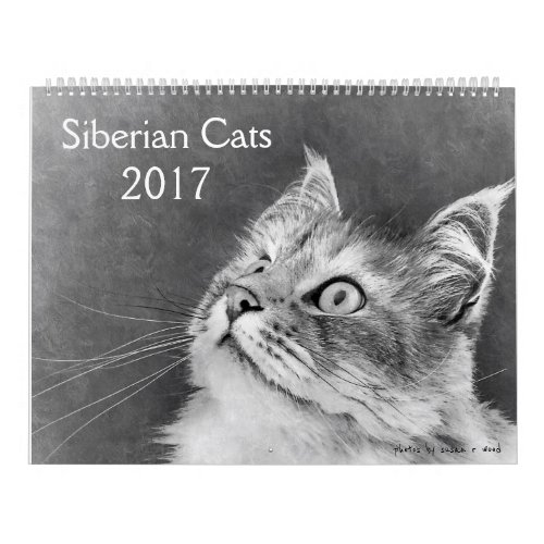 The New Siberian Cat Calendar 2017