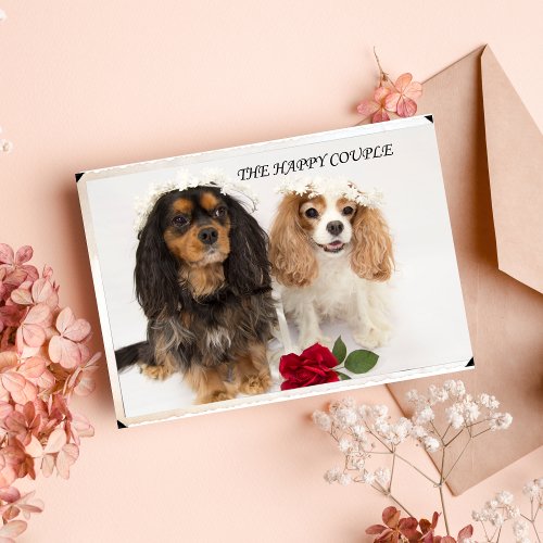 The Newly Weds Cavalier King Charles Spaniel Card